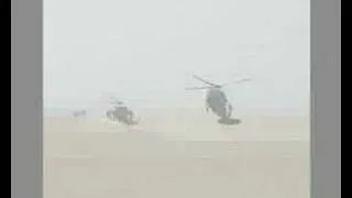 Blackhawks over Iraq