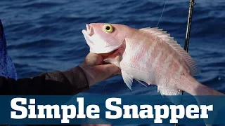 Snapper techniques - Florida Sport Fishing TV - Tackle, Baits, Locations & More