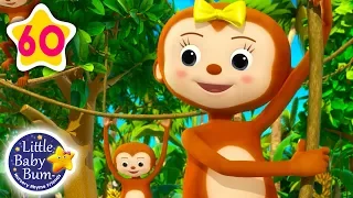 Five Little Monkeys Swinging in The Tree |  + More Nursery Rhymes & Kids Songs | Little Baby Bum