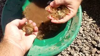 Finding Real Oregon sunstones. And you can to!