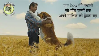 A Dog’s Purpose Movie Hindi Explanation