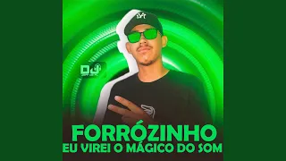 Forrózinho Eu Virei o Mágico do Som