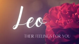 LEO LOVE TODAY - THE END OF NO COMMUNICATION, LEO!! IT'S A MUST WATCH!!