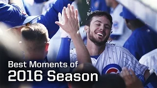 MLB Chicago Cubs Best Moments of 2016 Regular Season - Season Highlights