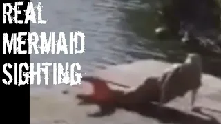 Real Mermaid Caught On Camera (HD)