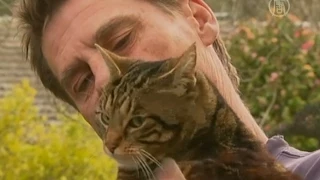 В Австралии кошка спасла хозяина от огня (новости)