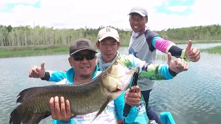 MANCING MANIA | MAPPI KOTA SEJUTA RAWA (10/11/18) Part 2