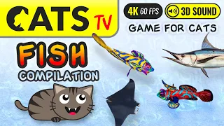 CATS TV - Fish Compilation 🐠😻 3D Sounds 🫧 for Cats & Dogs 📺🎶🐱 4K 🔴 60FPS