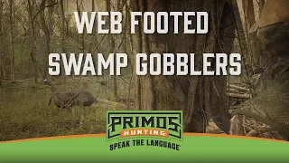 Web Footed Swamp Gobblers - Mississippi Turkey Hunting - Primos Truth About Hunting Season 17