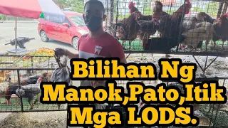 Bilihan,, ng Native Na Manok,Pato, at Itik Mga LODS..