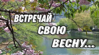 ИЗУМИТЕЛЬНО КРАСИВОЕ СТИХОТВОРЕНИЕ ПРО ВЕСНУ "ЗАКРОЙ ГЛАЗА...РИСУЙ СО МНОЙ ВЕСНУ..." ИРИНА САМАРИНА