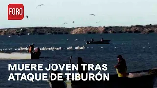 Muere pescador por ataque de tiburón en Huatabampo, Sonora - Las Noticias