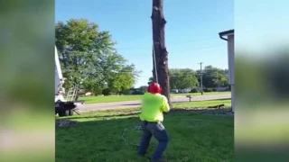 Funny tree removal fail