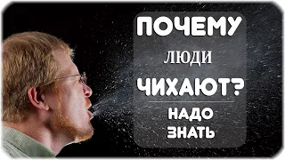 Почему мы чихаем, икаем, зеваем?