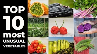 TOP 10 Most Unusual Vegetables