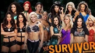 7-on-7 Divas Elimination Match - Survivor Series - WWE 2K14 Simulation