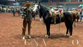 CONVIVENCIA DE DAVID ALONSO , CUCO RAYA Y ALEJANDRO GOÑI ROJO  EN EL EXCELENCIA CHARRA PARTE 2