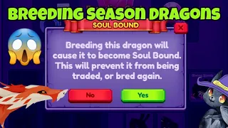 NEW breed SEASONS and breeding COSTS (Dragon Adventures, Roblox)