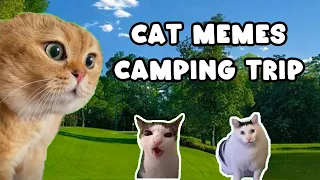 School Camping Trip - Cat Memes | The Memeow 🐱#catmeme #cat #shorts