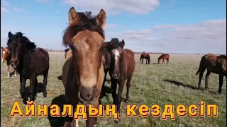 Мирас Жүгүнісов - Зымыран/ Караоке