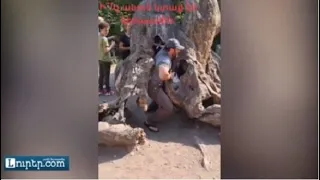 Случайно сломал «дерево желаний» в Армении и удалил аккаунт: видео из Агарцина всполошило сеть