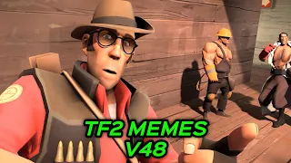 TF2 MEMES V48