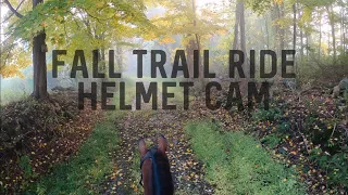 FALL TRAIL RIDE ON HORSEBACK HELMET CAM • Groom, Tack & Ride with Me + Barn Chores on the Farm Vlog!