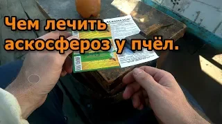 Чем лечить аскосфероз у пчёл.