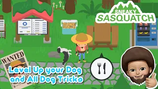 Sneaky Sasquatch Info - levelling Up my dog and All dog tricks