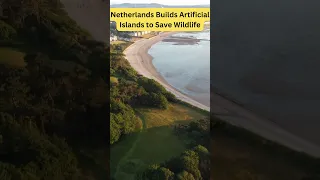 Netherlands Builds Artificial Islands to Save Wildlife #shorts #Netherlands #Wildlife #Conservation