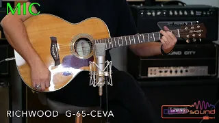 IR (impulse response) for acoustic guitar RICHWOOD G-65-CEVA