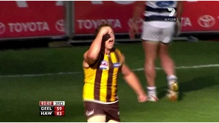 AFL 2008: Grand Final - Hawthorn highlights vs. Geelong