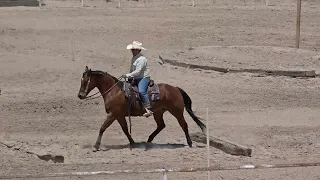 EXCA 2024 05 11 El Paso Sheriff's Posse Ranch Versatility #8 Luis F Nanine