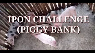 IPON CHALLENGE (PIGGY BANK)