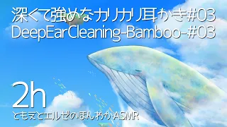 【ASMR】Deep Ear Cleaning-2h&Both Ears- #03【No Talking】