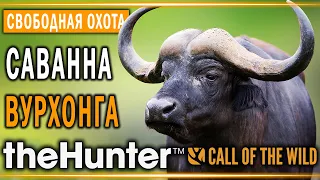 theHunter Call of the Wild #7 🦁 - Саванна Вурхонга (часть 1) - Свободная Охота