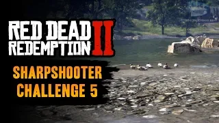 Red Dead Redemption 2 Sharpshooter Challenge #5 Guide - Kill 6 animals without reloading your weapon