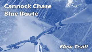 Cannock Chase Blue Trail Highlights | Amazing Flow Trail