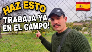 EMIGRAR A ESPAÑA | TIPS TRABAJAR EN EL CAMPO EN ESPAÑA