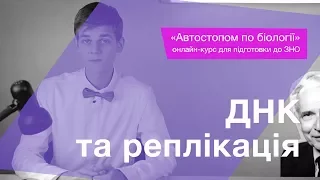 ДНК та реплікація – Підготовка до ЗНО – Біологія