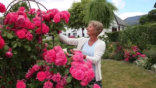 Brilons offene Gärten - 14 Gartenbesitzer öffnen ihre virtuellen Gartenpforten