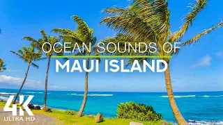 8 HOURS of Ocean Songs with Wind Sounds and Bird Chirping - 4K Tropical Beach, Maui island, Hawaii