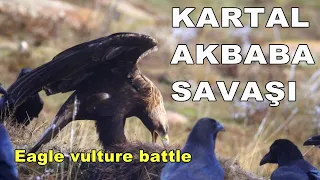 KARTAL AKBABA SAVAŞI /İki yırtıcı ama ortada bir leş var