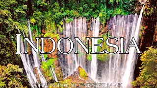 Indonesia In 4k | Tropical Heaven of Asia | Scenic Relaxation Film.