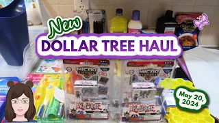 New DOLLAR TREE Haul!  Awesome Finds!!  May 20, 2024!