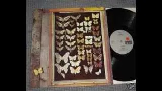 MAYFLY .SAME . LP ARIOLA .1973