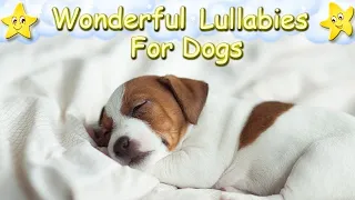 Sleep Music For Your Dog and Puppy ♫ Calm Your Dog Effectively ♥ Relaxing Lullaby For Dogs