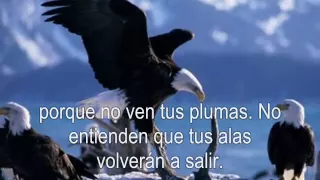 Vuela Águila. Tercer Cielo