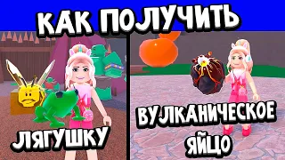 Как получить лягушку и вулканическое яйцо в WACKY WIZARDS Roblox 🤫 роблокс чокнутые маги