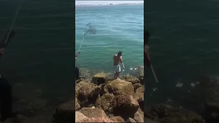 "DOMINGO DE PESCARIA" Vila Real de Santo Antonio... Dia produtivo de pesca